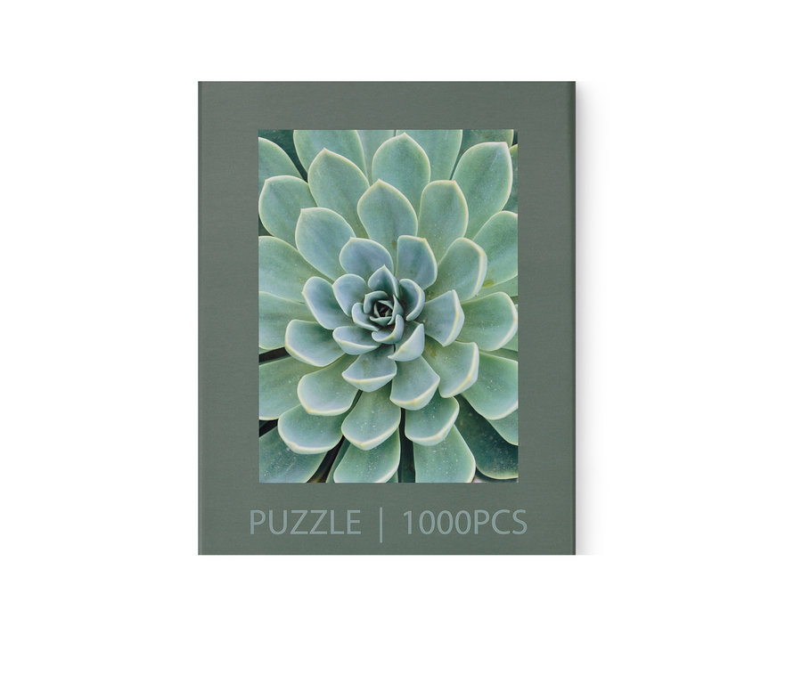 Balení puzzle »Sukulenty«.
