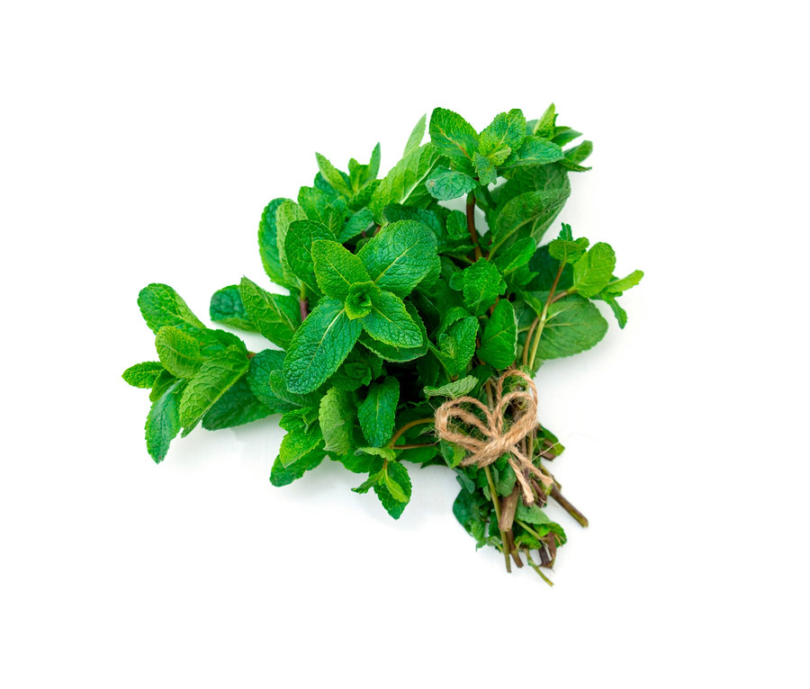 Svázek Klasických bylinek, 8 druhů, svázaný jutovým provázkem ve tvaru srdce, leží na bílém pozadí.