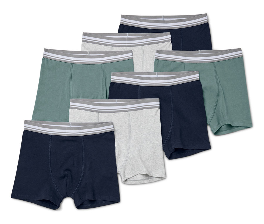 Sedm chlapeckých boxerek v různých barvách leží na bílém pozadí.