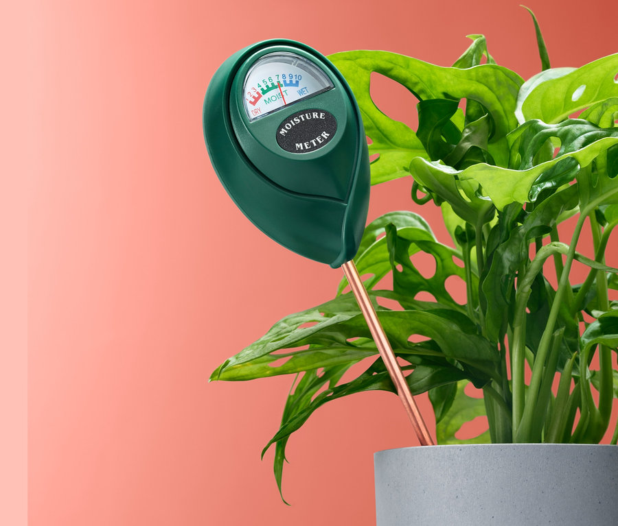 Vlhkoměr zapíchnutý v květináči s rostlinou.