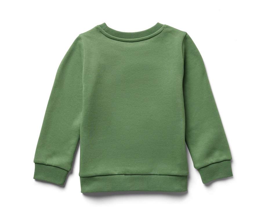 Zelená dětská mikina s počesanou vnitřní stranou leží na bílém pozadí.