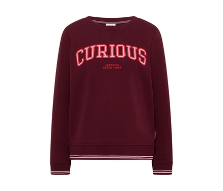 Bordová mikina CECIL s červeným nápisem „CURIOUS“ a „LEARNING NEVER STOPS“ na hrudi.