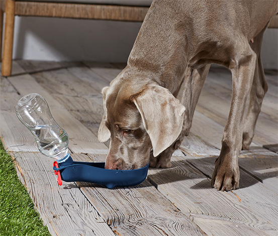 Cestovní láhev pro psy s integrovanou miskou na pití